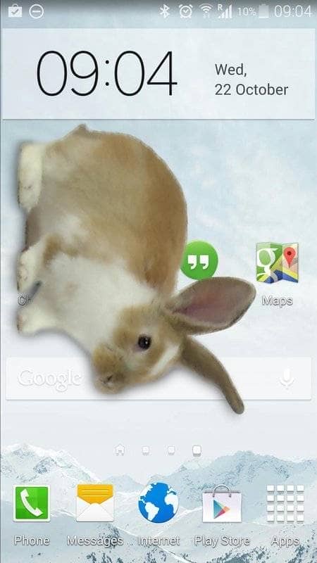 bunny in phone cute joke