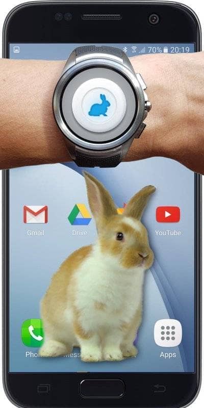 bunny in phone cute joke