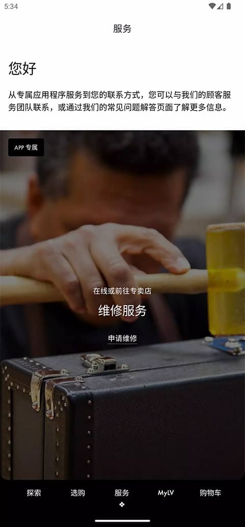 louis vuitton app(lv官方旗舰店)