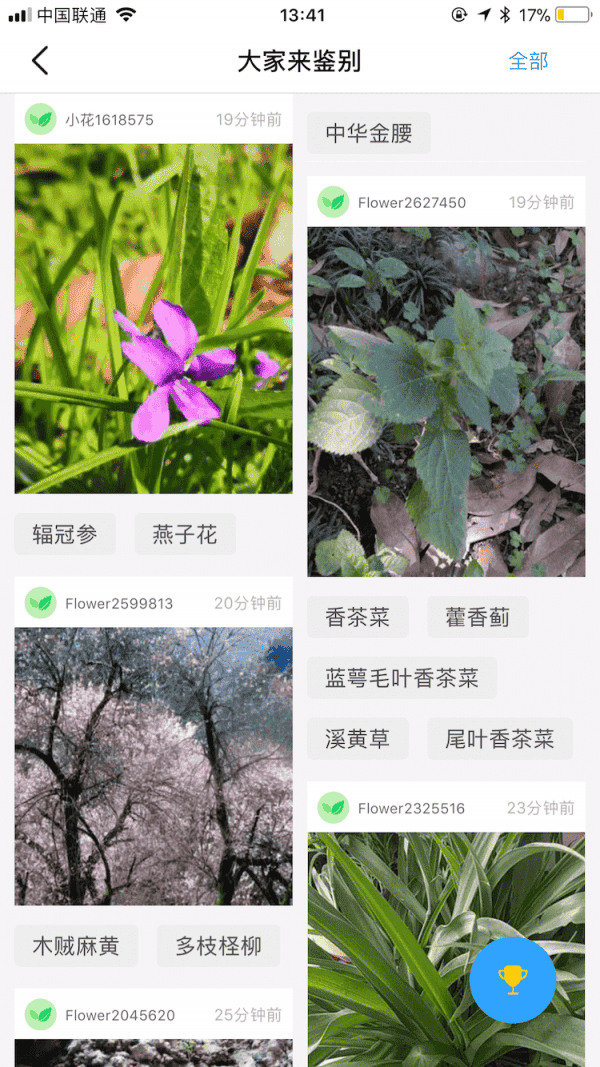 花伴侣