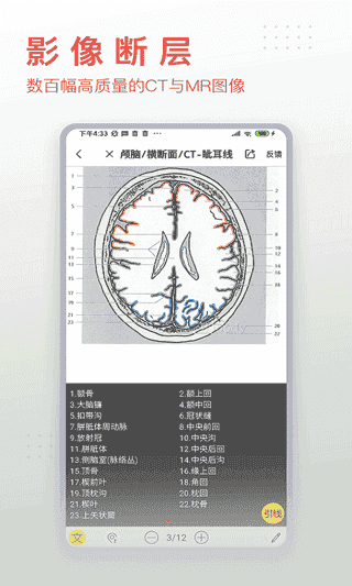 3Dbody解剖v8.7.30