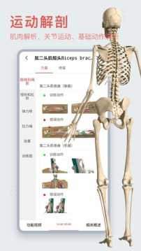 3Dbody解剖手机版