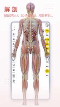 3Dbody解剖手机版