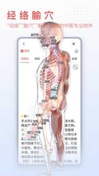 3Dbody解剖手机版