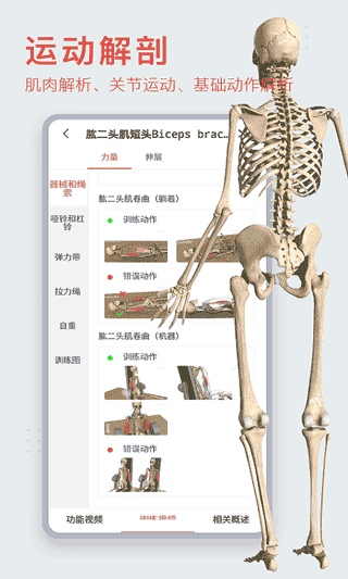 3Dbody解剖v8.7.30