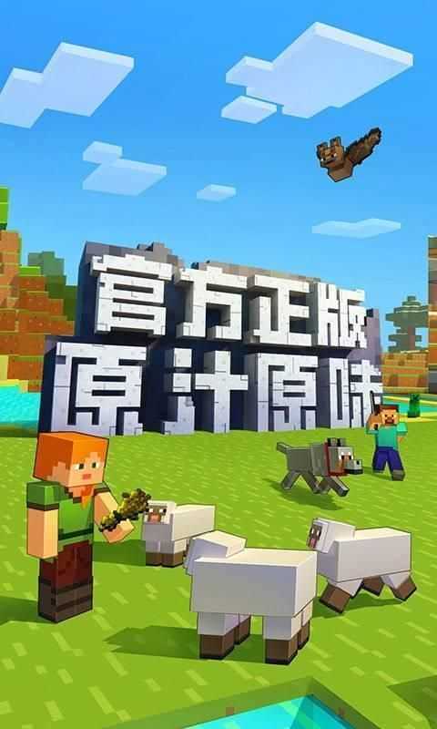 我的世界国际版1.17(Minecraft)