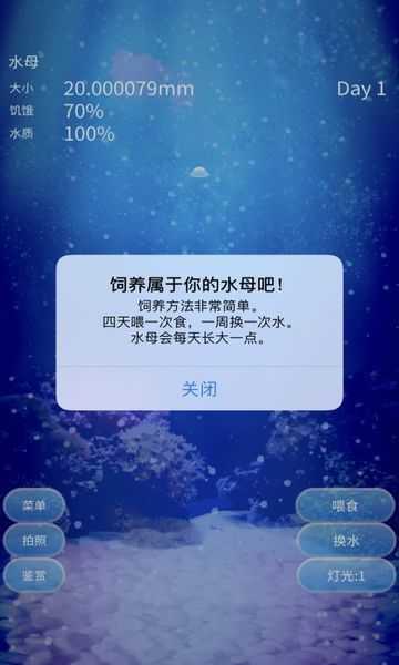 治愈的养成水母游戏中文版