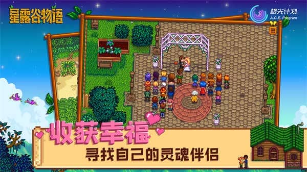 星露谷物语美化版千杯寒雪(Stardew Valley)